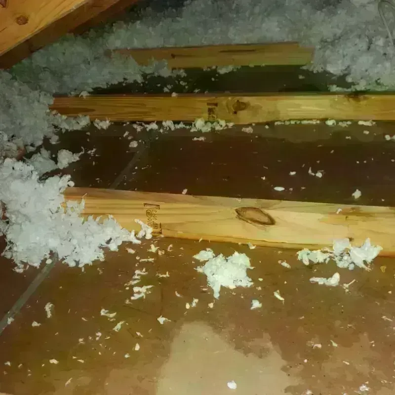 Attic Water Damage in Grundy Center, IA