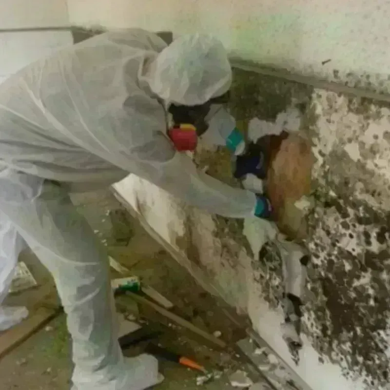 Mold Remediation and Removal in Grundy Center, IA